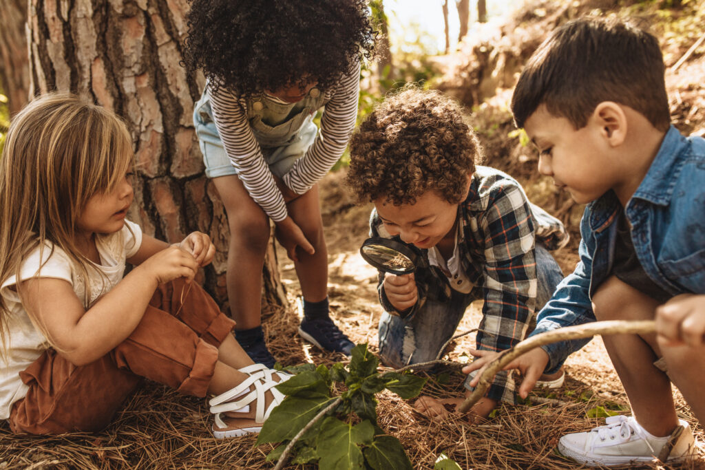 Children in forest looking at leaves as a researcher together with the magnifying glass.